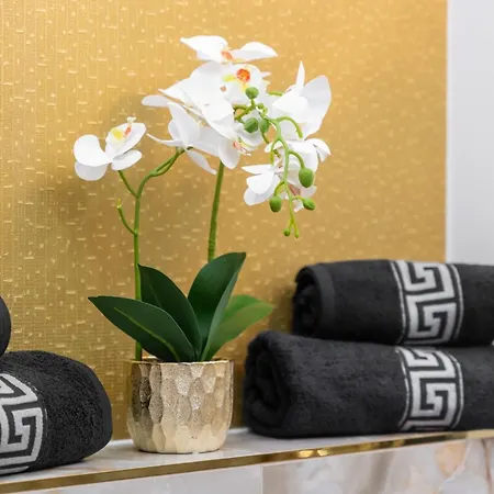 Apartmanhotel Hanza Tower Suite 21 Or Studio Gold 5 4*