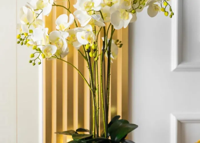 Hanza Tower Original 21st Floor- Sea And City-view 4* Szczecin